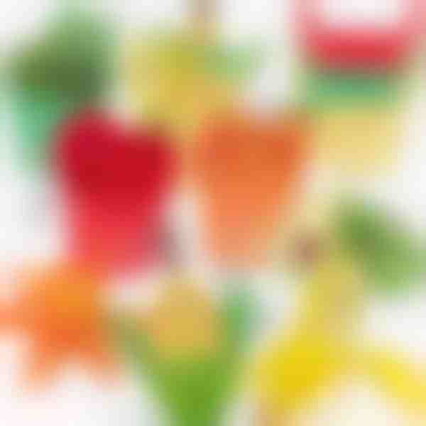 Sensorisches Spiel-Lebensmittelset (16 Teile/Set) | SORTIFOOD